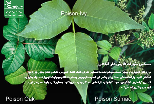 تصاویر انواع لکه های پوستی و روشهای درمان آنها