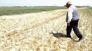 موج مهاجرت کشاورزان ایرانی