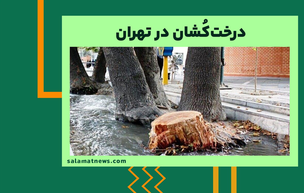 ​​درخت‌کُشان در تهران
