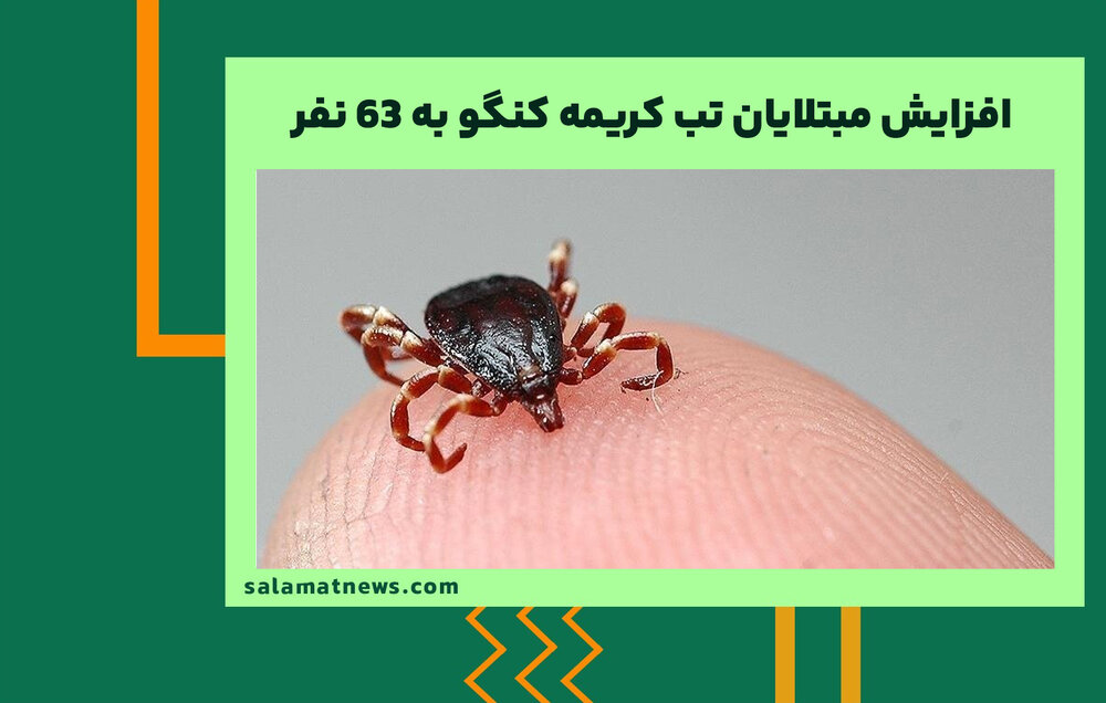 افزایش مبتلایان تب کریمه کنگو به ۶۳ نفر/ لزوم تشدید مراقبتها در مشاغل مرتبط با دام افزایش مبتلایان تب کریمه کنگو به ۶۳ نفر/ لزوم تشدید مراقبتها در مشاغل مرتبط با دام