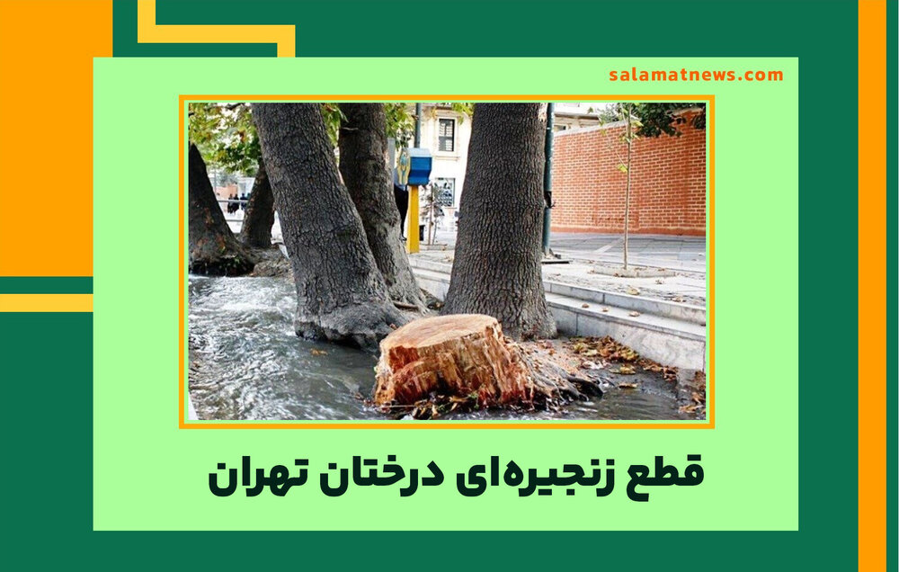 قطع زنجیره‌ای درختان تهران