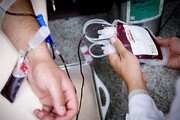سهم ۲۹ درصدی ایران از خون‌های اهدایی در منطقه مدیترانه شرقی