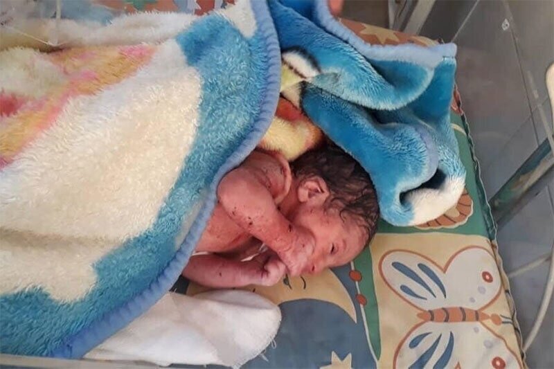 نوزادان رهاشده محصول کدام انتخاباند؟ نوزادان رهاشده محصول کدام انتخاباند؟