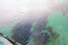 آلودگی نفتی در سه منطقه خلیج‌فارس