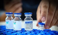 صادرات واکسن برکت با نصف قیمت تولید