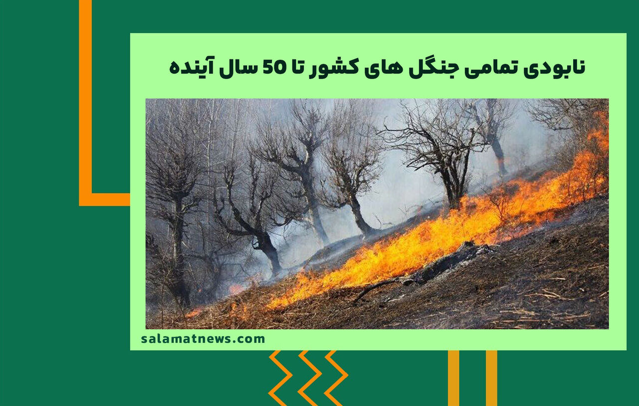 نابودی تمامی جنگل های کشور تا 50 سال آینده نابودی تمامی جنگل های کشور تا 50 سال آینده