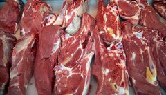 دامپزشکی: گزارشاتی مبنی بر فروش گوشت الاغ و اسب وجود دارد