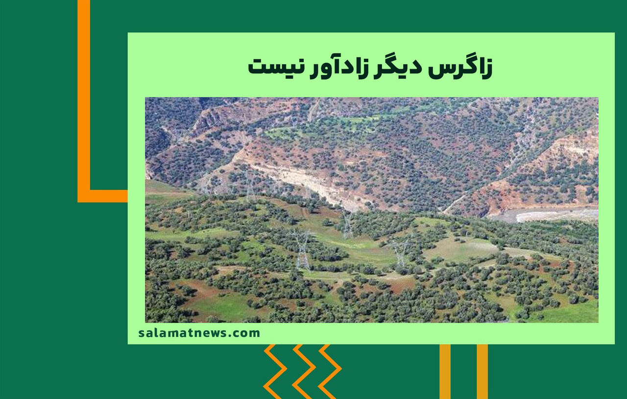 زاگرس دیگر زادآور نیست زاگرس دیگر زادآور نیست