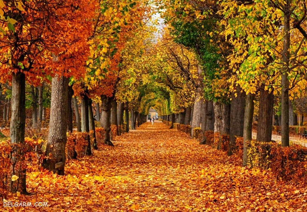 افزایش دمای کشور در روزهای ابتدایی پاییز افزایش دمای کشور در روزهای ابتدایی پاییز