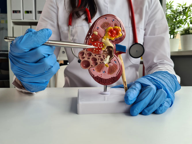 نوبت اینترنتی و مشاوره آنلاین پزشکی با بهترین دکترهای تهران در دکترتو