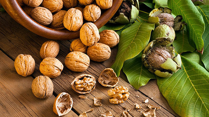 مصرف گردو با کاهش خطر ابتلا به بیماری های قلبی عروقی مرتبط است مصرف گردو با کاهش خطر ابتلا به بیماری های قلبی عروقی مرتبط است