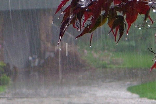 بارش باران در برخی استان‌های کشور