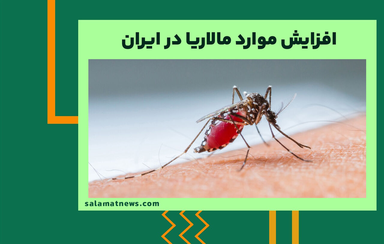 افزایش موارد مالاریا در ایران  افزایش موارد مالاریا در ایران