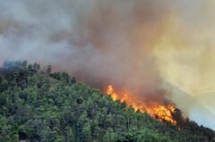 پیش‌بینی آتش‌سوزی‌ پاییزی در جنگل هیرکانی