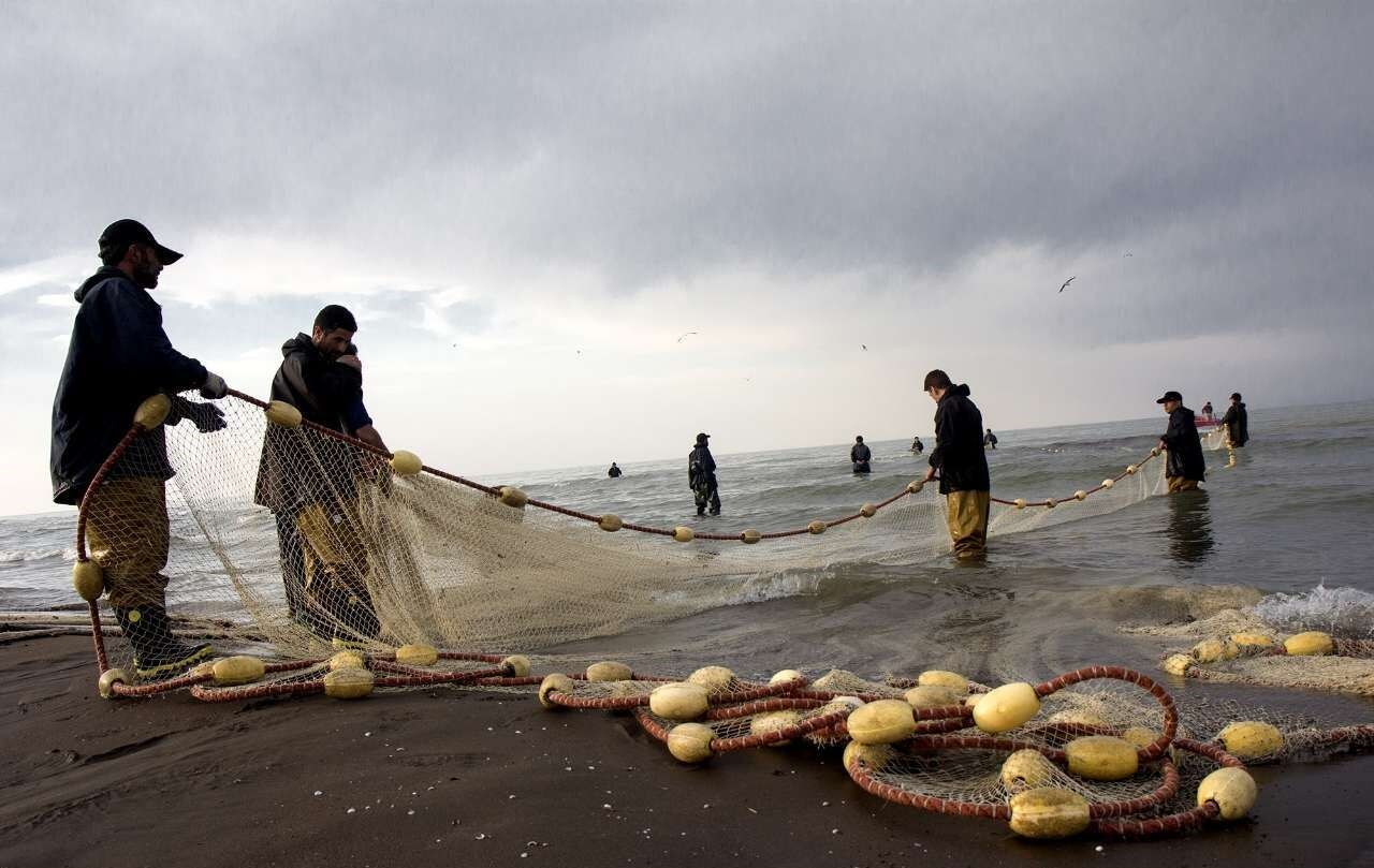 صیادان به دریا زدند  صیادان به دریا زدند