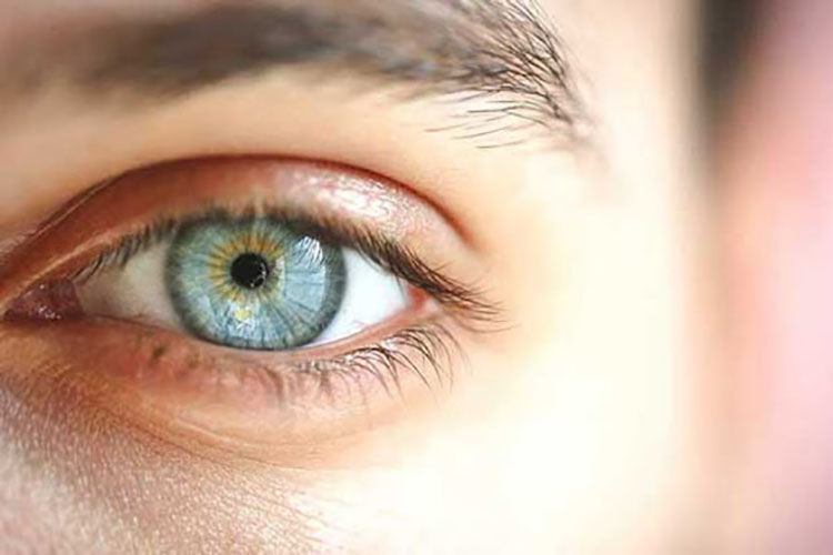 چکاپ بدن از روی چشمها چکاپ بدن از روی چشمها