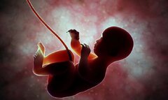 دستور «رییسی» برای نجات فرزندان «سقط»