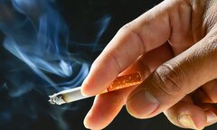 خسارت سیگار بر نظام سلامت قابل جبران نیست/ انتقاد از دولت