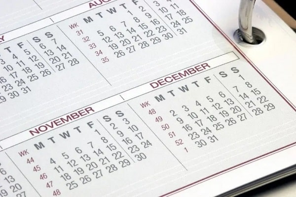 بهترین زمان کاشت مو چه فصلی است؟