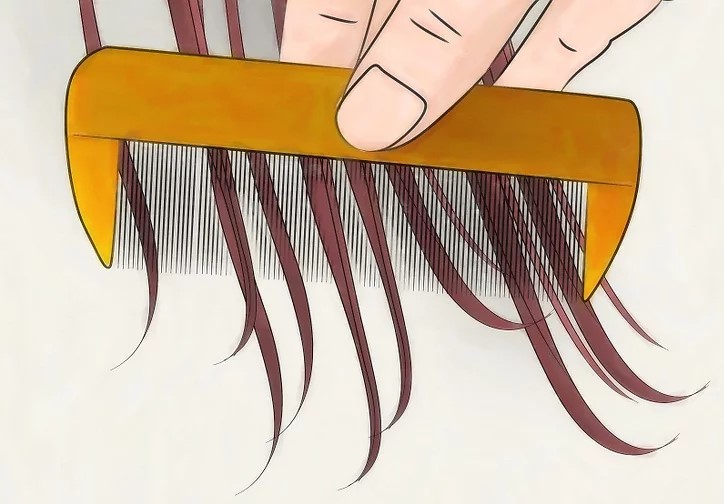 درمان فوری شپش در یک شب