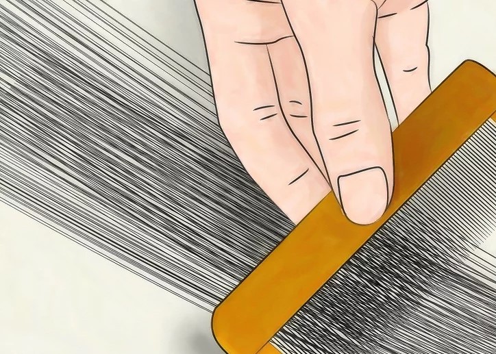 درمان فوری شپش در یک شب