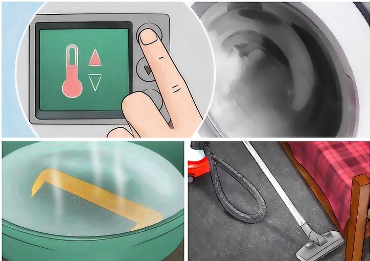 درمان فوری شپش در یک شب