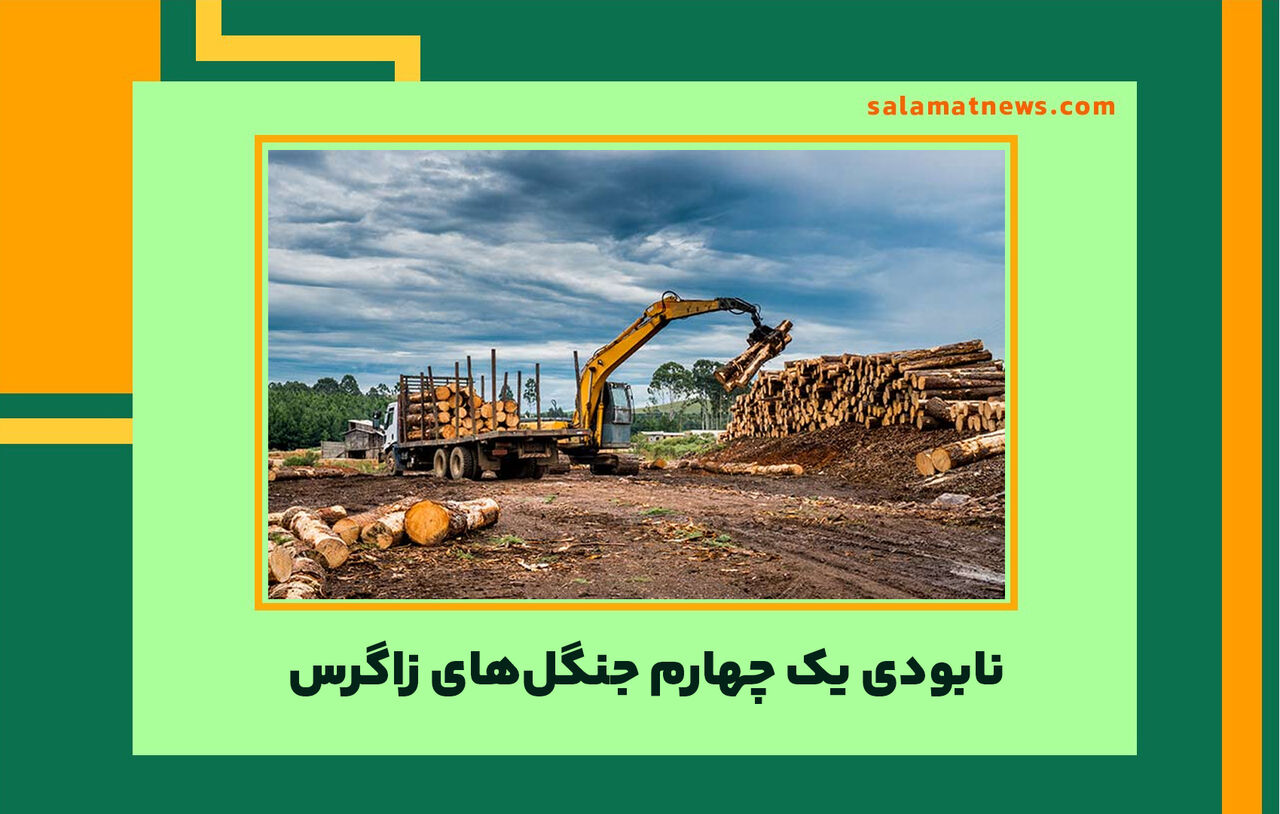 نابودی یک چهارم جنگلهای زاگرس نابودی یک چهارم جنگلهای زاگرس