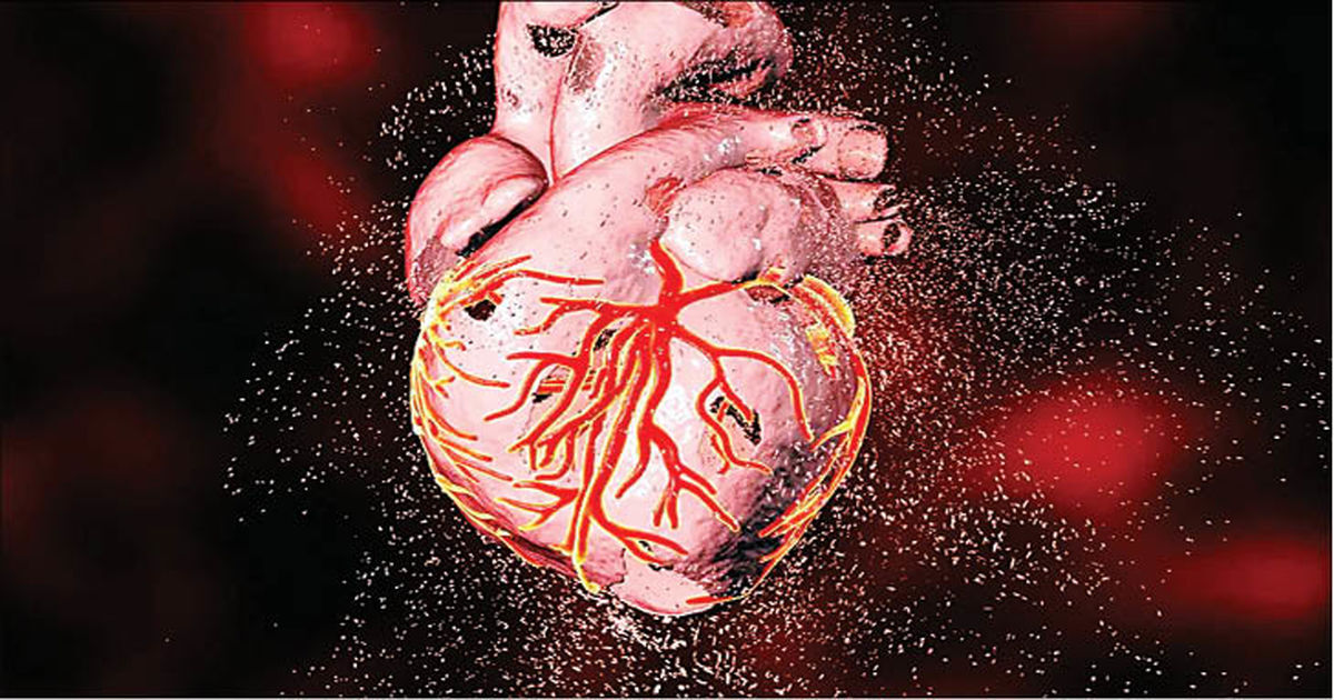 مکمل ها در حفظ سلامت قلب موثر نیستند مکمل ها در حفظ سلامت قلب موثر نیستند