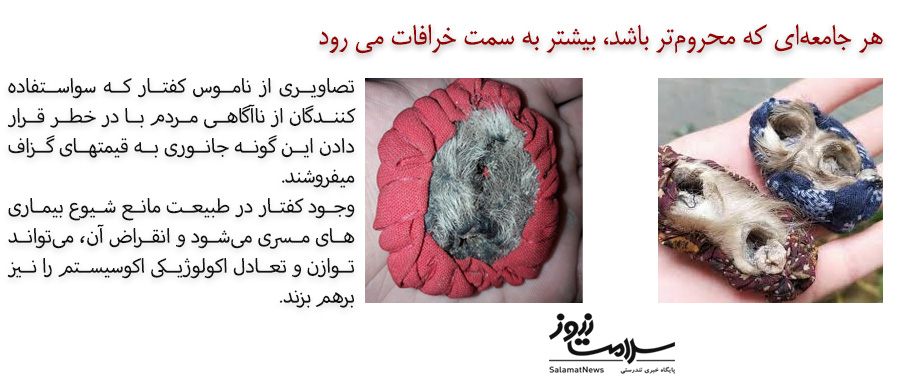 فروش ناموس کفتار و مهره مار با قیمت باورنکردنی!