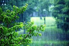 بارش باران در ۸ استان کشور/ وزش باد شدید طی ۳ روز آینده