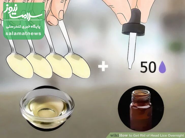 درمان فوری شپش در یک شب