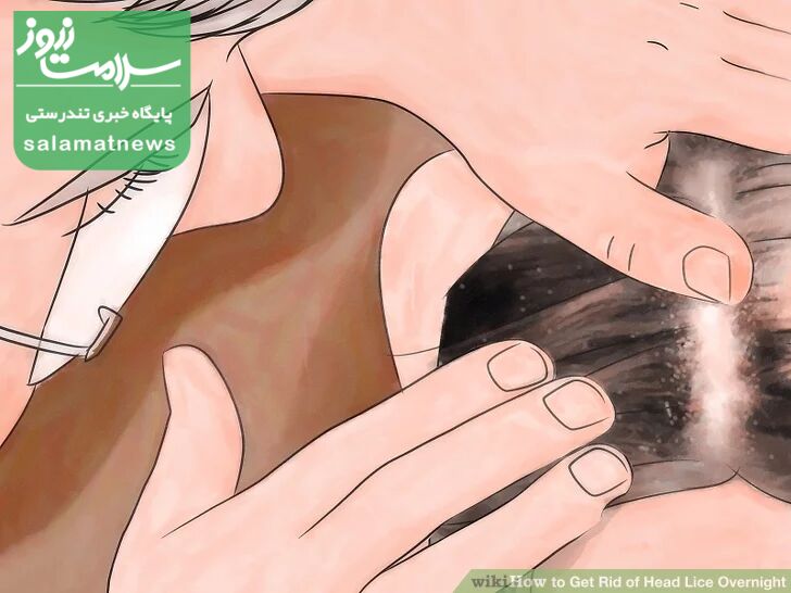 چرا دانشآموزان مناطق بالای شهر بیشتر به شپش مبتلا میشوند؟ چرا دانشآموزان مناطق بالای شهر بیشتر به شپش مبتلا میشوند؟