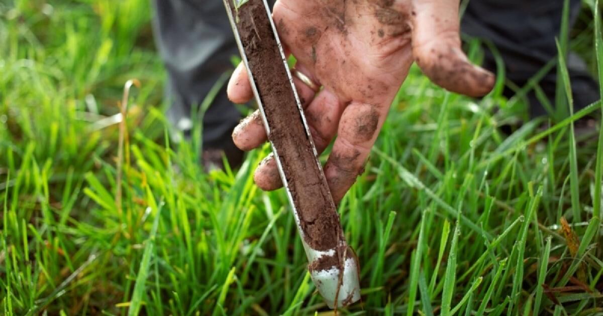 چرا خاک در سلامت انسانها اهمیت دارد؟