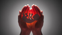 نهایی شدن لایحه «اهدای جنین در مراکز ناباروری»/ «استرداد» فرزند حاصل اهدای جنین؛ ممنوع!