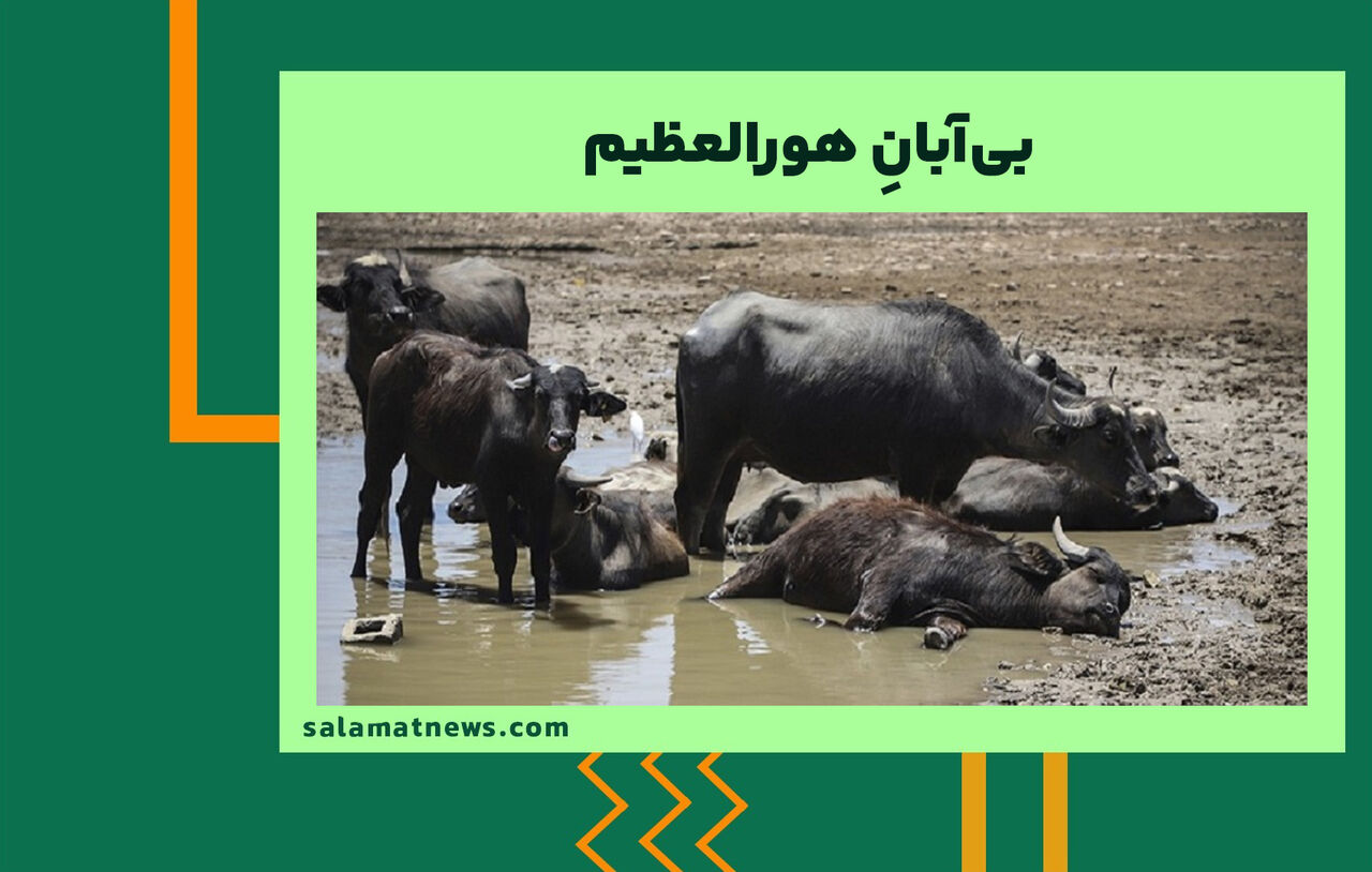 بیآبانِ هورالعظیم بیآبانِ هورالعظیم