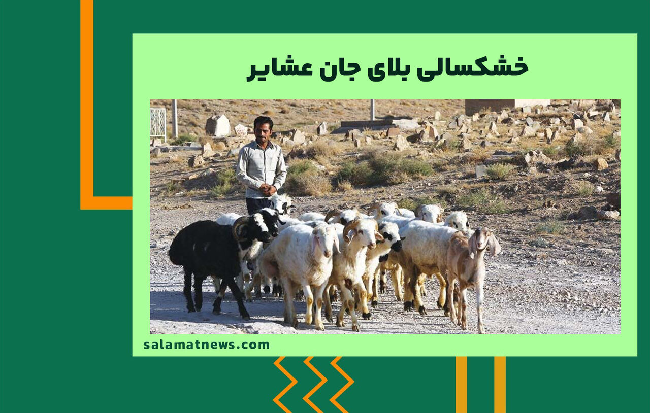 خشکسالی بلای جان عشایر خشکسالی بلای جان عشایر
