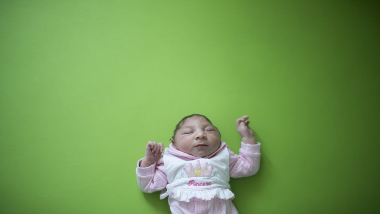 همه چیز در مورد زیکا همه چیز در مورد زیکا