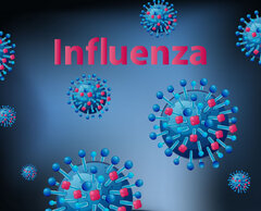 موارد جدید آنفلوآنزا کاهشی است / نگرانی از موج گسترده کرونا نداریم