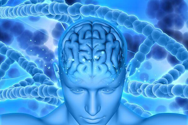 ارتباط بین سندرم داون و بیماری آلزایمر ارتباط بین سندرم داون و بیماری آلزایمر