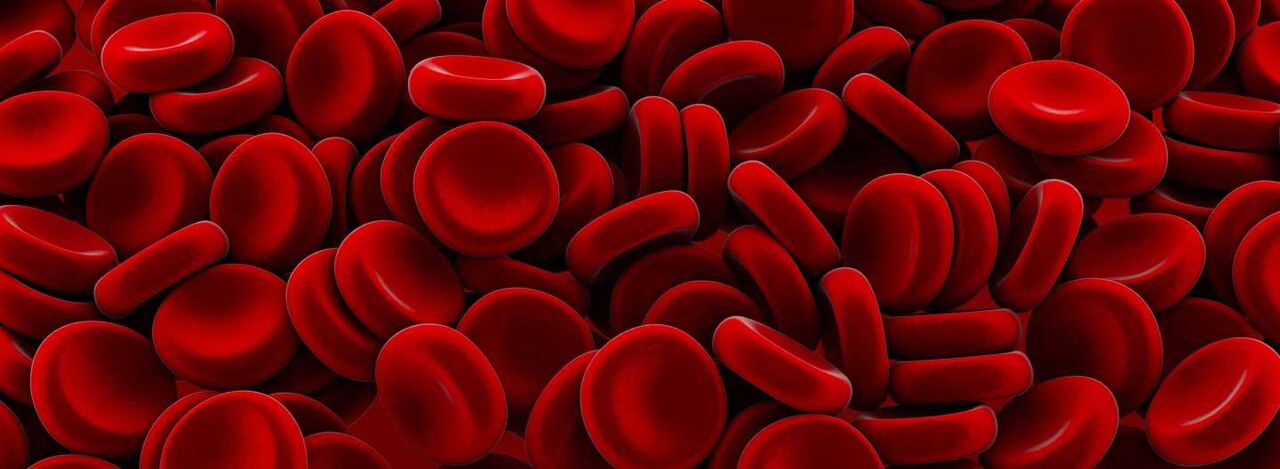 چطور بفهمیم «غلظت خون» داریم؟ چطور بفهمیم «غلظت خون» داریم؟