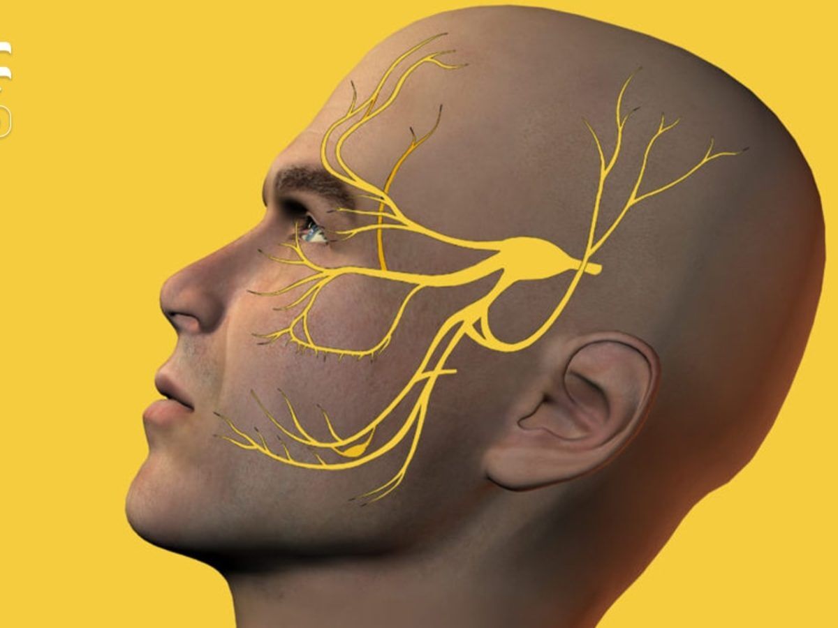 نورالژی عصب سه قلو و علایم آن