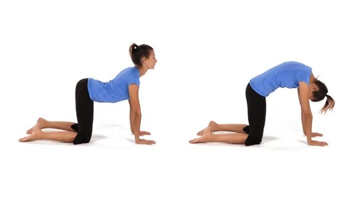 ۱۴ ورزش برای کمردرد + حرکاتی که نباید انجام دهید