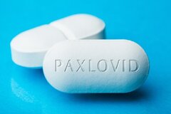 داروی «پاکسلووید» برای استفاده زنان باردار ایمن است