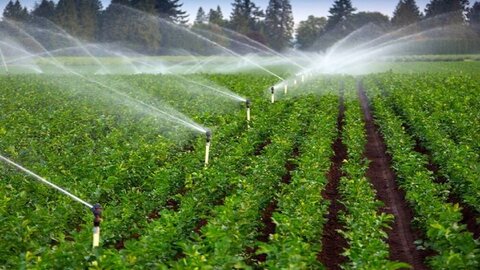 شناسنامه‌دار شدن مزارع و ساماندهی مصرف سموم؛ گام تازه در ایمنی غذا