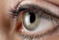 درمان قوز قرنیه/ دیابتی‌ها بیشتر مراقب سلامت چشمان خود باشند