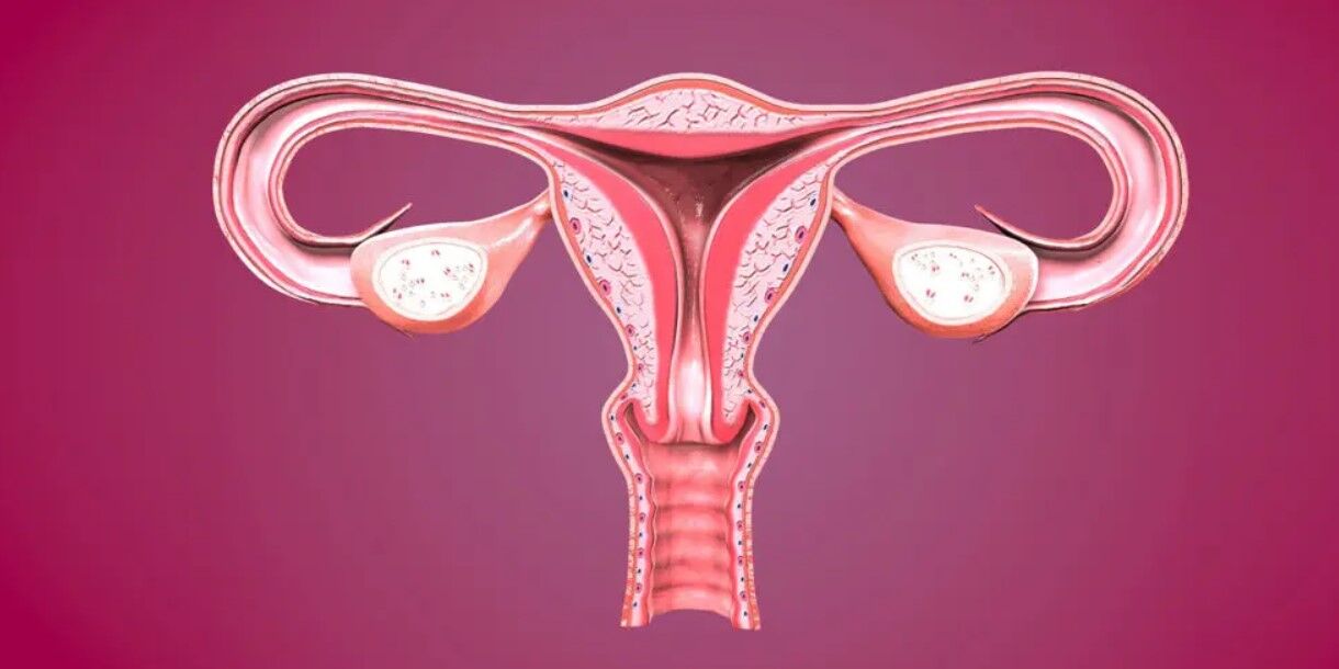 ابتلا به سرطان رحم به یکباره نیست ابتلا به سرطان رحم به یکباره نیست