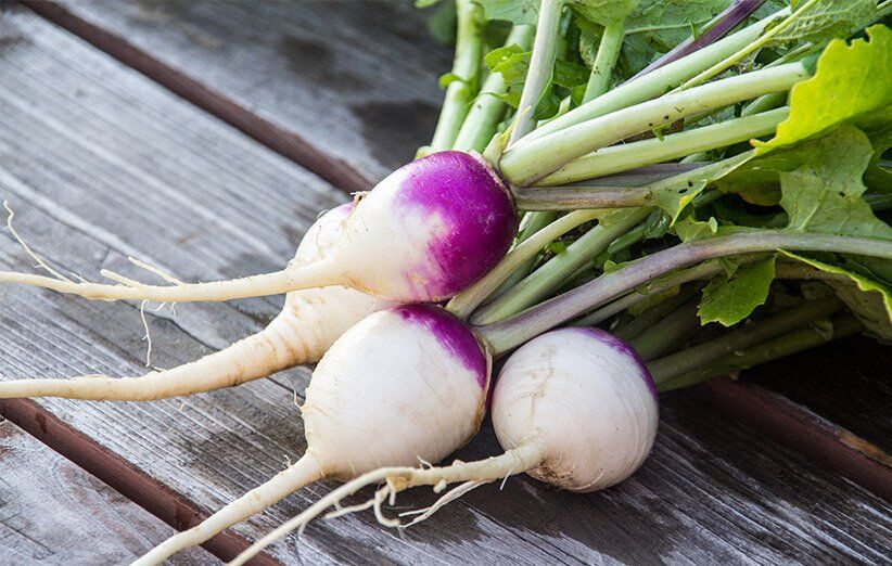 تقویت سیستم ایمنی بدن با شلغم
 تقویت سیستم ایمنی بدن با شلغم