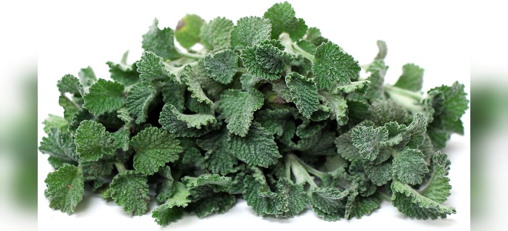 فراسیون گیاهی برای پاکسازی بدن فراسیون گیاهی برای پاکسازی بدن