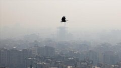 سقوط ایران در عملکرد محیط زیستی