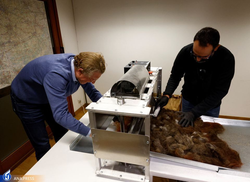 موی انسان برای حفاظت از محیط زیست بازیافت میشود موی انسان برای حفاظت از محیط زیست بازیافت میشود